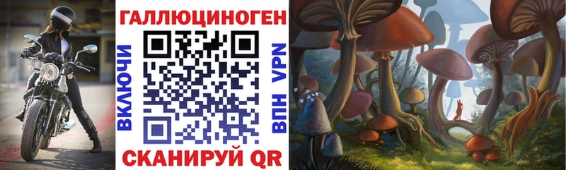 магазин продажи наркотиков  Королёв  Галлюциногенные грибы MAGIC MUSHROOMS 